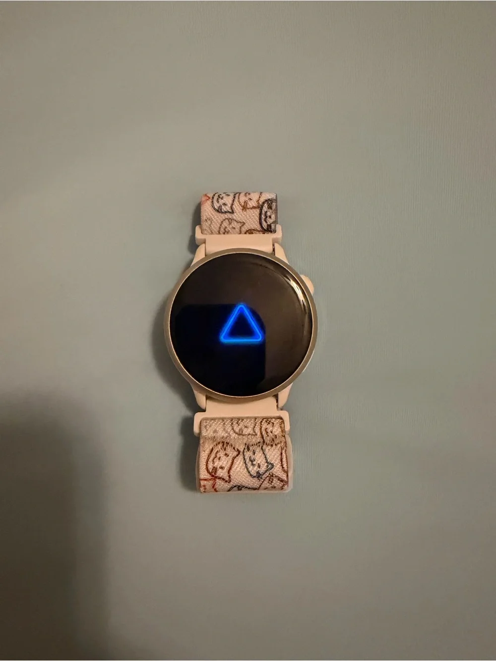 Garmin Vivoactive 6